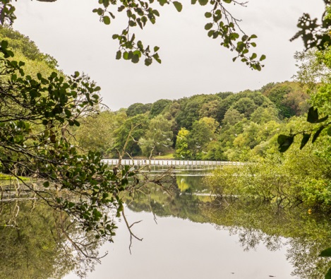 Local area information for Whinmoor